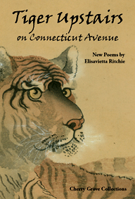 Tiger Upstairs on Connecticut Avenue